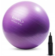 shumee GIMNASTIČNA ŽOGA YB02 65CM HMS