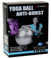 shumee GIMNASTIČNA ŽOGA YB02 65CM HMS