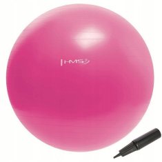 shumee GIMNASTIČNA ŽOGA YB01 55CM HMS