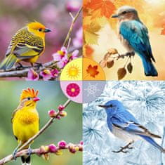 shumee 20 kg oluščenih sončničnih semen, raztresena hrana za ptice 20