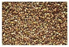 shumee 20 kg krmnih semen konoplje za krmo živali 20 kg