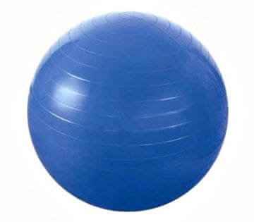 shumee YB01 (PG 55CM) MODRA GIMNASTIČNA ŽOGA HMS