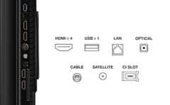 TCL 55P81K televizor, QLED TV, 4K UHD, 144 Hz, 139cm (55)