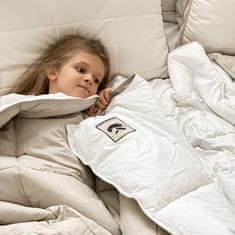 3-delni set vzglavnikov in odeje Vitapur NEO 200x200