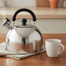 Eva Čajnik z ročajem / 5,7l / indukcija / inox, pvc