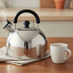 Eva Čajnik z ročajem / 4l / indukcija / inox, pvc