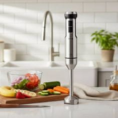 Eva Palični mešalnik HB9028 / 1000W / inox