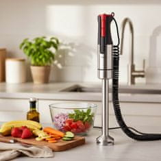 Eva Palični mešalnik HB103 / rdeči gumbi / 1000W / inox