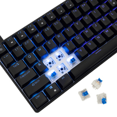 White Shark Tipkovnica GK-005122 HAMACHI Mehanska RGB / HR - MODRA SW.