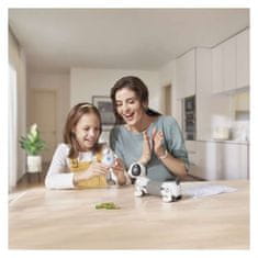 GP baterija Extra AA, 40 kos