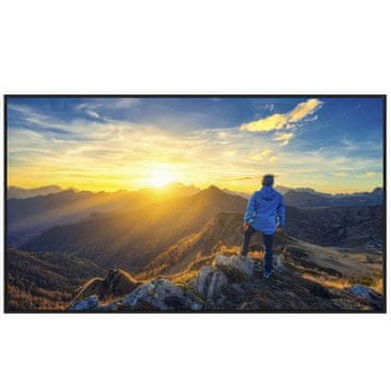 Sharp MultiSync PN-E329 80cm (31,5") 1920x1080 HDMI/USB-C informacijski monitor