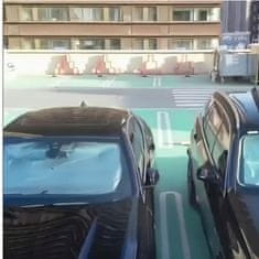 shumee Prenosni zložljivi senčnik za vetrobransko steklo avtomobila