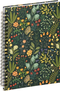 nb grafo Zvezek spirala A5 črte trde platnice, 100 listov, 0349.01 Zelen