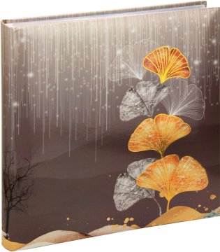 FANDY Memo foto album, 500 slik 10x15 cm, z žepki 231207-1 Ginko