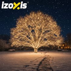 Izoksis Zunanje novoletne lučke veriga 500 LED toplo bela 8 funkcij 35m