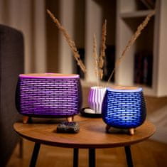 TrueLife AIR D6 aroma difuzor (TLADMAIRDD6BA)