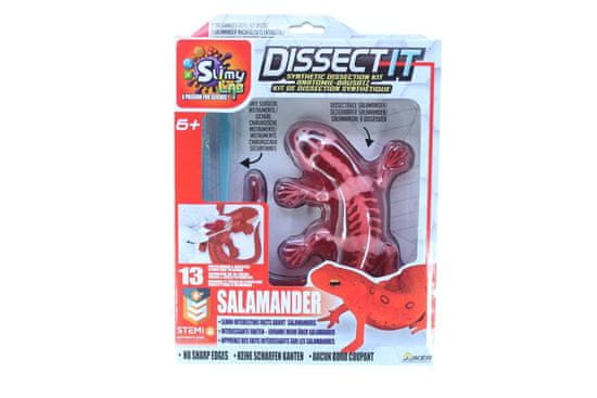 Močerad s polnilom - komplet za sintetično disekcijo