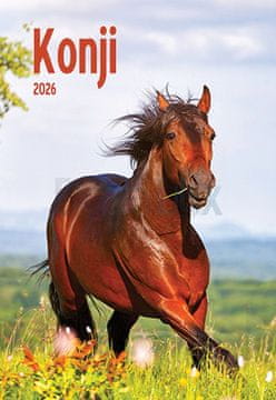 Koledar Konji 2026 (A015718)