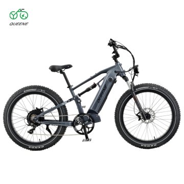 Top pogon Električno gorsko kolo Queen K800 (750W, 23ah)