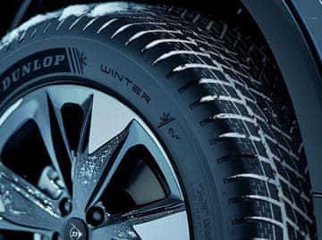 Dunlop Zimska pnevmatika 175/65R17 87H WINTER EVr DUN720313
