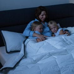 4-delni set vzglavnikov in odej Vitapur Memosilver Premium - 140x200