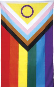 Guirca Barvita MAVRIČNA ZASTAVA Vključujoč napredek LGBT Pohod za enakost 90x150cm