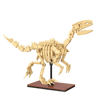 Cada Dinozavrov fosil: Velociraptor (C59014W)
