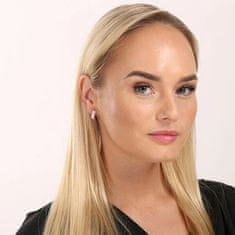 Evolution Group Elegantni uhani s kristali Magic Rose 31118.3