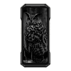 Ulefone Armor 27, 12/256GB, 10600mAh, črna