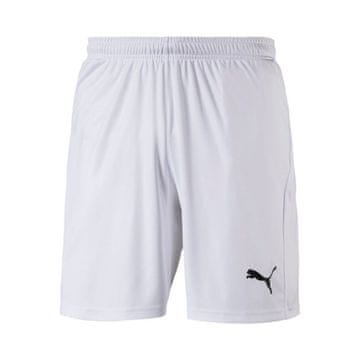 Puma Hlače 192 - 197 cm/XXL Liga Core