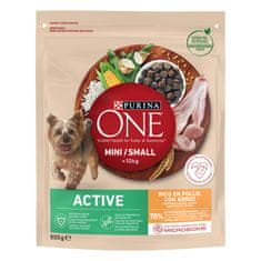 Purina ONE MINI/SMALL Active suha hrana za pse do 10kg, bogata s piščancem in rižem, 8x800g