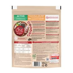 Purina ONE MINI/SMALL Active suha hrana za pse do 10kg, bogata s piščancem in rižem, 8x800g