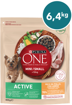 Purina ONE MINI/SMALL Active suha hrana za pse do 10kg, bogata s piščancem in rižem, 8x800g