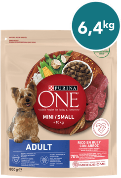 Purina ONE MINI/SMALL Adult suha hrana za odrasle pse do 10kg, bogata z govedino in rižem, 8x800g