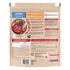 Purina ONE MINI/SMALL Junior suha hrana za pasje mladiče do 10kg, bogata s piščancem in rižem, 8x800g