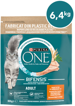 Purina ONE Bifensis Adult suha hrana za odrasle mačke, s piščancem, 8x800g