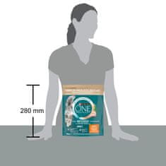 Purina ONE Bifensis Adult suha hrana za odrasle mačke, s piščancem, 8x800g