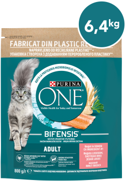 Purina ONE Bifensis Adult suha hrana za odrasle mačke, z lososom, 8x800g