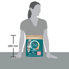 Purina ONE Bifensis Adult suha hrana za odrasle mačke, z lososom, 8x800g