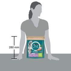 Purina ONE Bifensis Sensitive suha hrana za odrasle mačke, s puranom, 8x800g