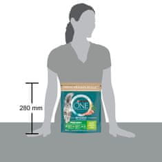 Purina ONE Bifensis Indoor Formula suha hrana za odrasle notranje mačke, s puranom, 8x800g