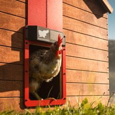 RUN-CHICKEN Solarna avtomatska vrata za kokošnjak Eternal – v rdeči barvi (z Bluetooth)