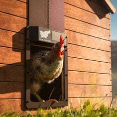 RUN-CHICKEN Solarna avtomatska vrata za kokošnjak Eternal – v rjavi barvi (z Bluetooth)