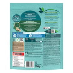Purina ONE DualNature® Adult suha hrana za odrasle mačke, s piščancem, 8x750g
