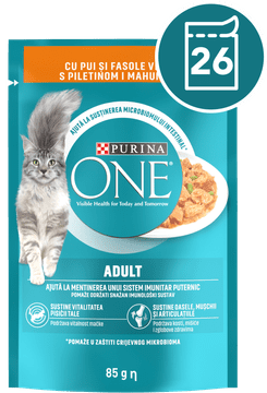Purina ONE ADULT mokra hrana za odrasle mačke, mini fileti s piščancem in stročjim fižolom, 26x85g