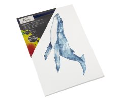 Platno za slikanje 30x40 cm