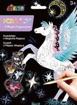 AVENIR Slike za praskanje 4 kosi - Pegasus