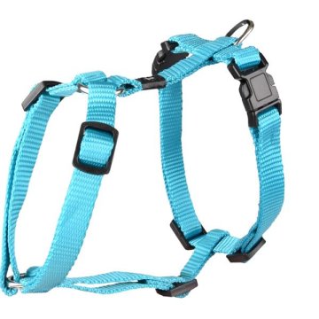 Flamingo Najlonski pas Ziggi turkizna XS 1x25-40cm