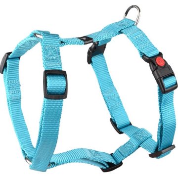 Flamingo Najlonski pas Ziggi turkizna S 1,5x35-50cm