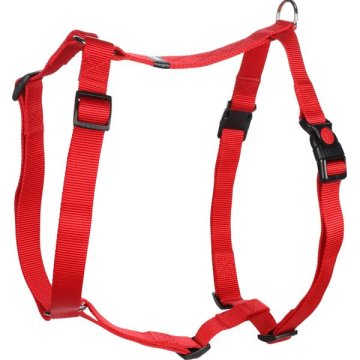 Najlonski pas Ziggi rdeč XL 2,5x70-110cm Flamingo